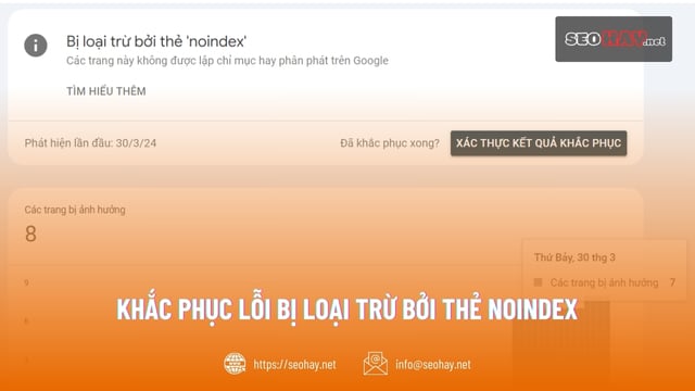 Khắc phục lỗi Bị loại trừ bởi thẻ Noindex hiệu quả