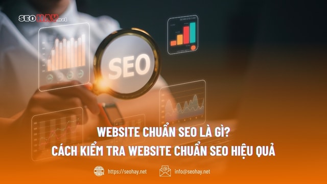 Website chuẩn SEO là gì? Cách kiểm tra website chuẩn SEO hiệu quả.