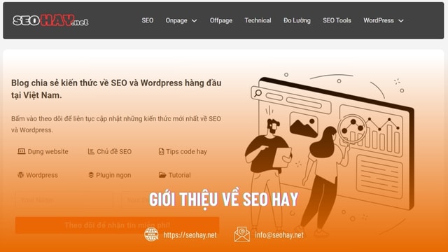 Giới thiệu về SEO HAY